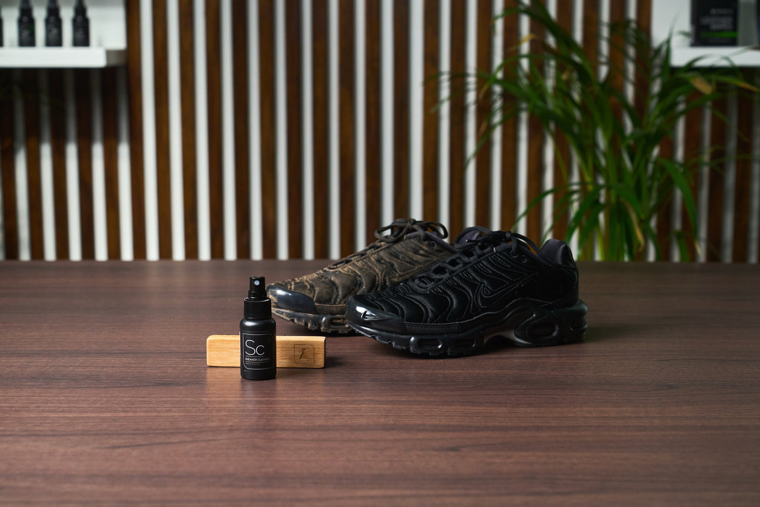 HOW TO CLEAN NIKE TN AIR MAX PLUS